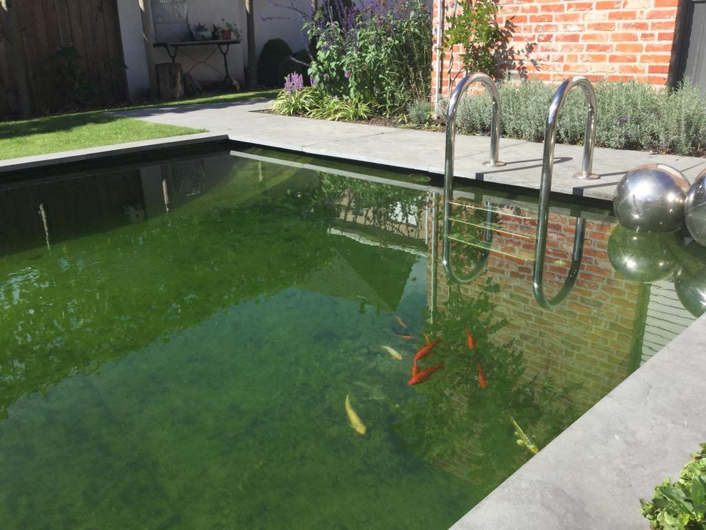 B&B De Grote Plaats โฮกสตราเทน ภายนอก รูปภาพ